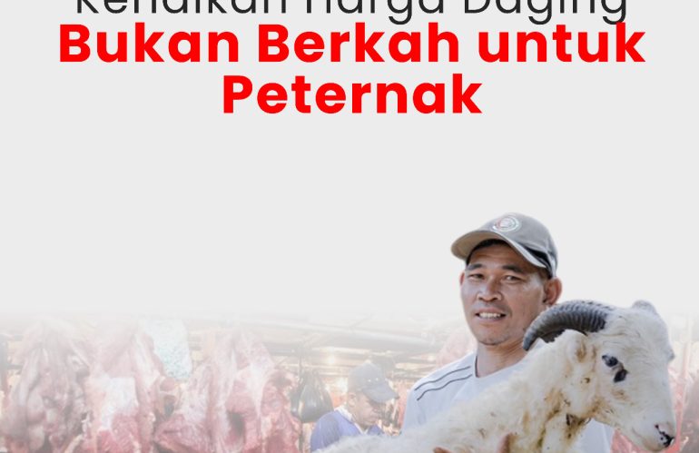 Kenaikan Harga Daging Bukan Berkah Untuk Peternak